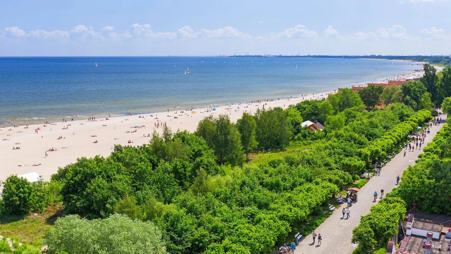 Wild Island Suite Gdansk
